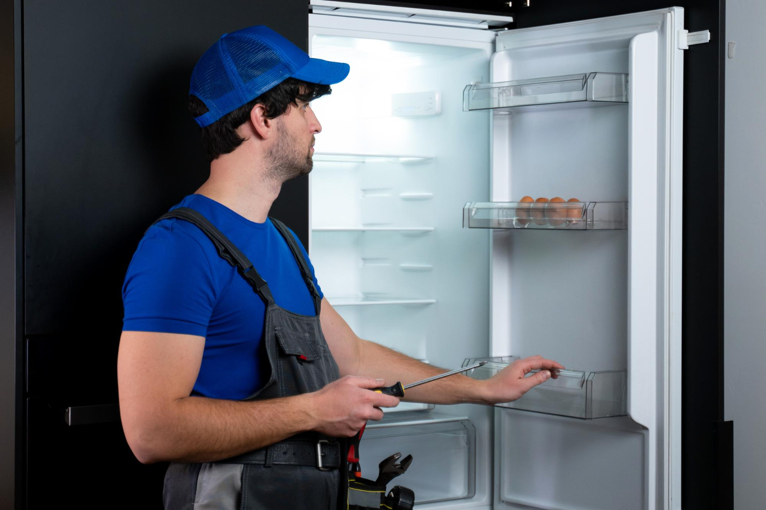 Fridge Service Cherrybrook