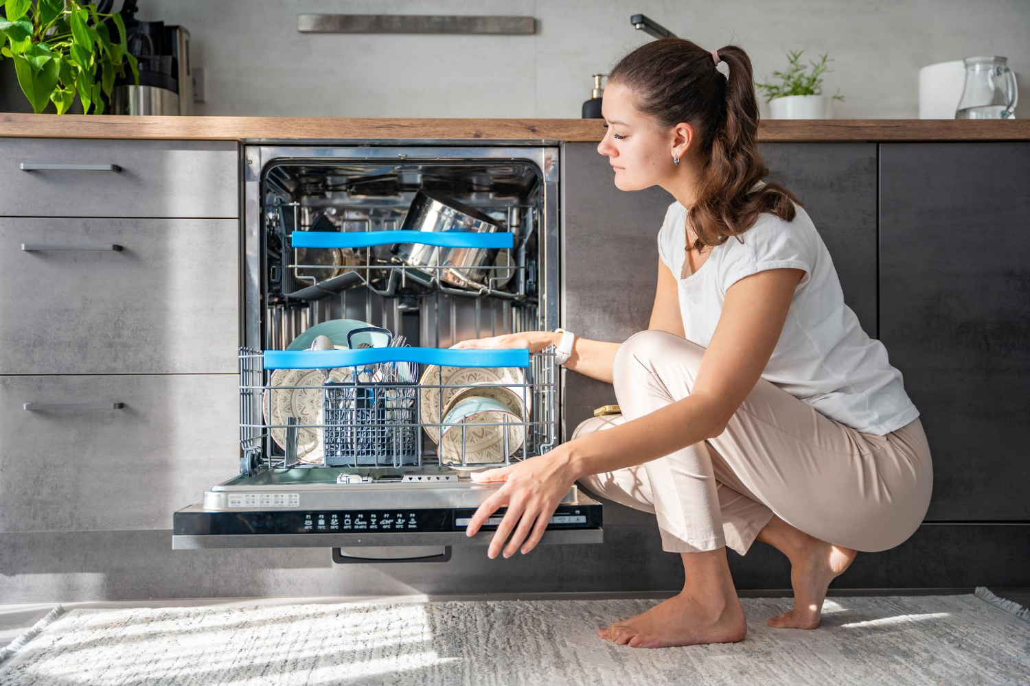 Dishwasher Repair Company Lalor Park
