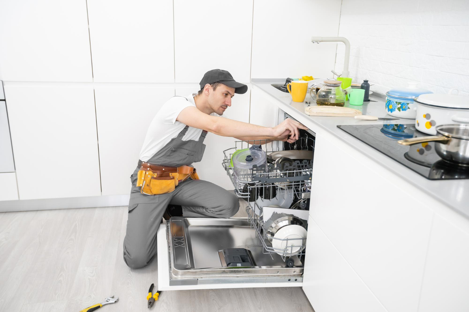 Dishwasher Repair Service Wentworthville